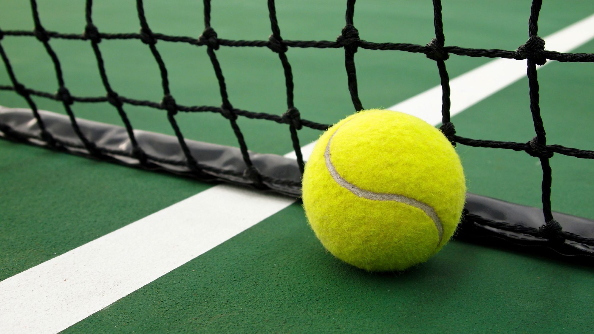 Alexander Beach Hotel & Spa Alexandrupoli Exteriér fotografie A tennis ball